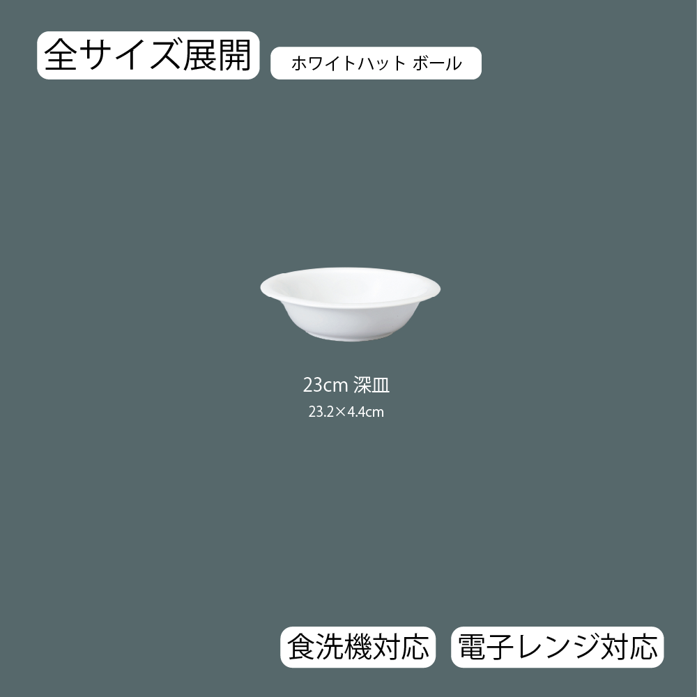 サイズ